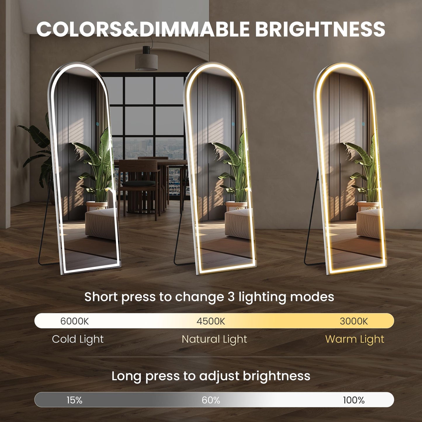 64"x21" Arched Full Length Mirror w/ LED Lights