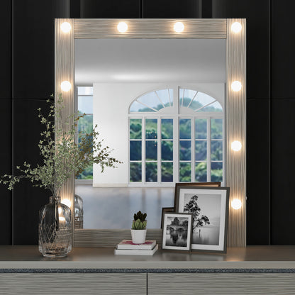 Champagne Silver Mirror w/ LED Lights