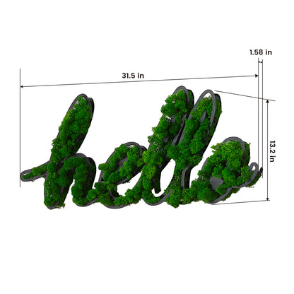 HELLO Letter Art Moss Wall Decor