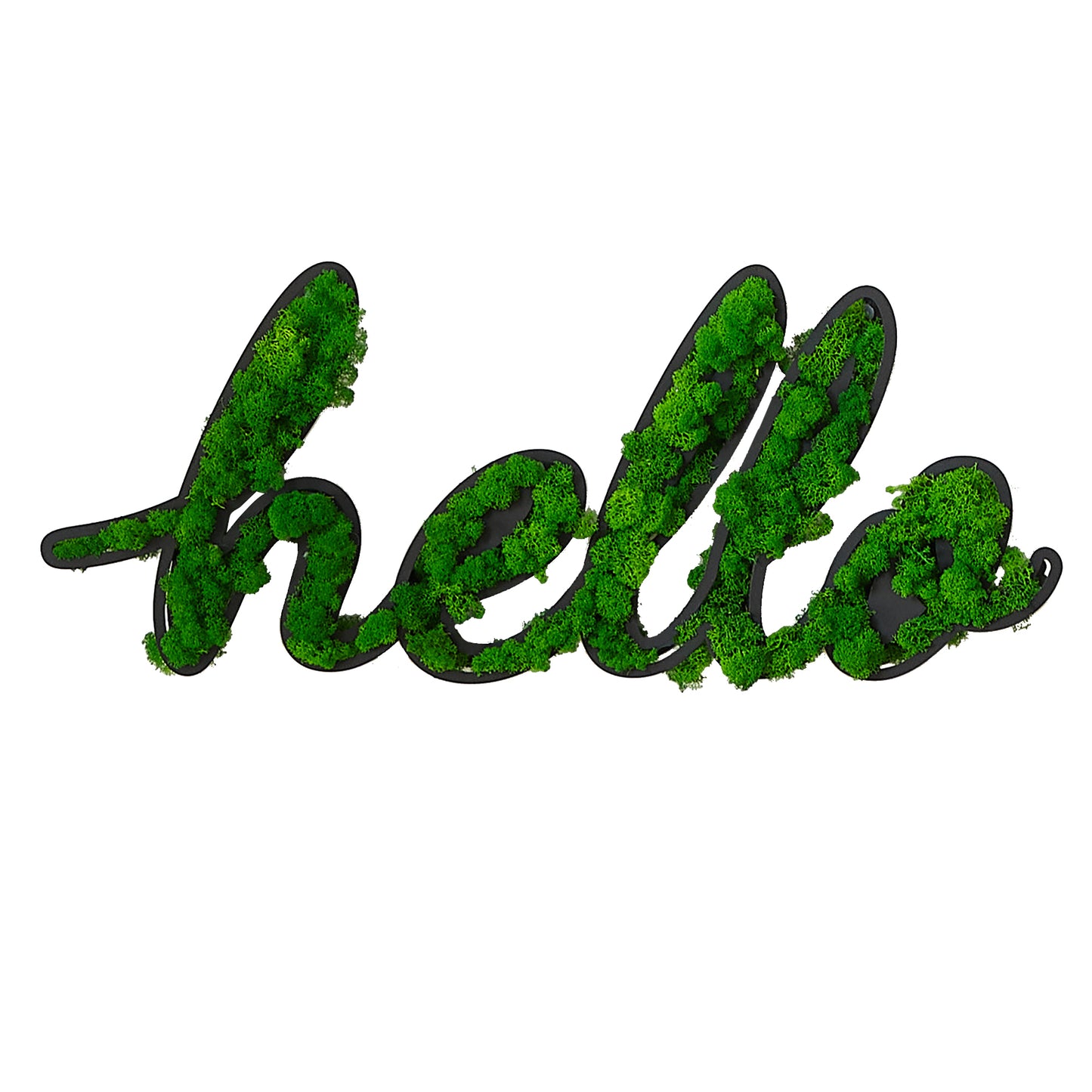 HELLO Letter Art Moss Wall Decor