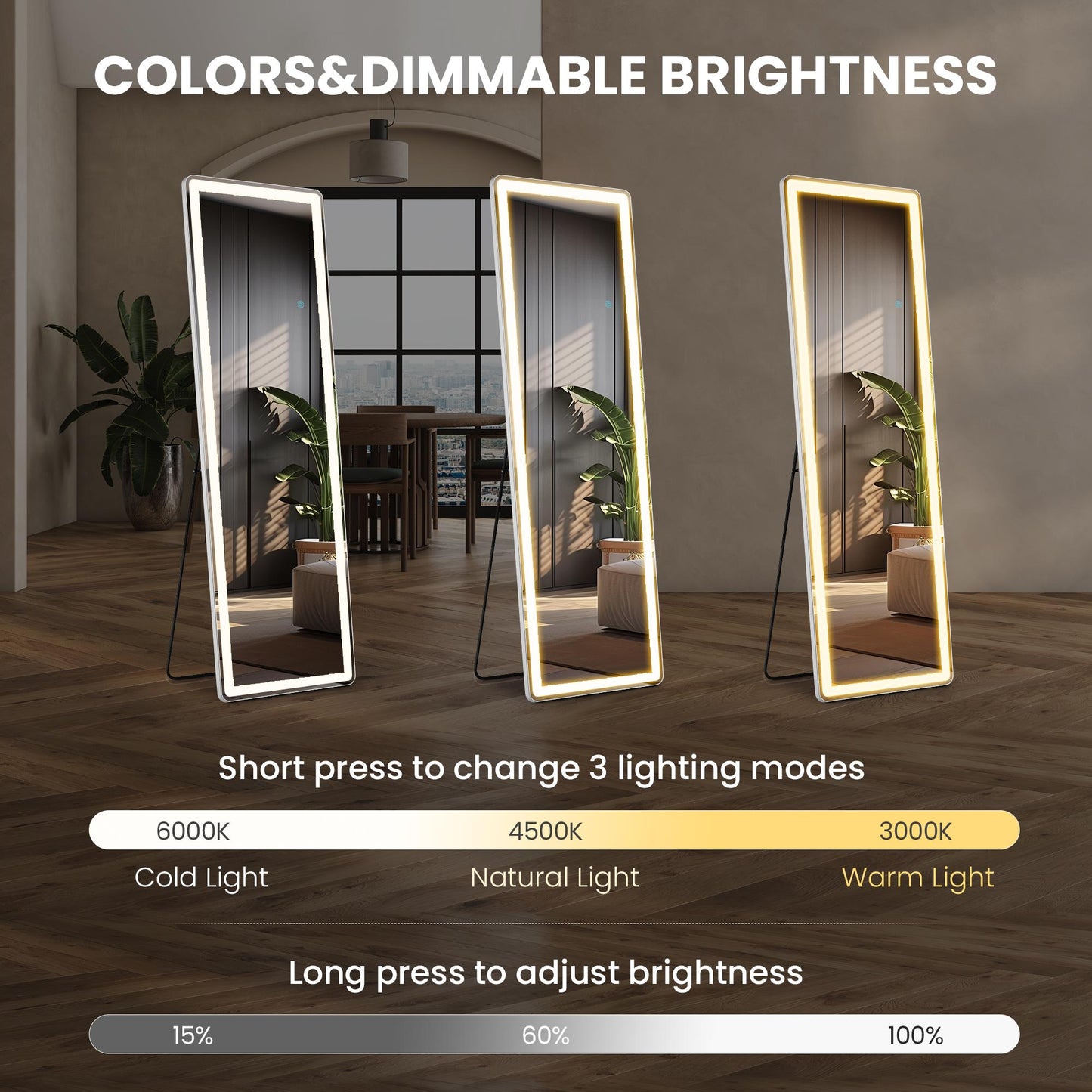 64"x21" Rectangular Full Length Mirror w/ LED Lights