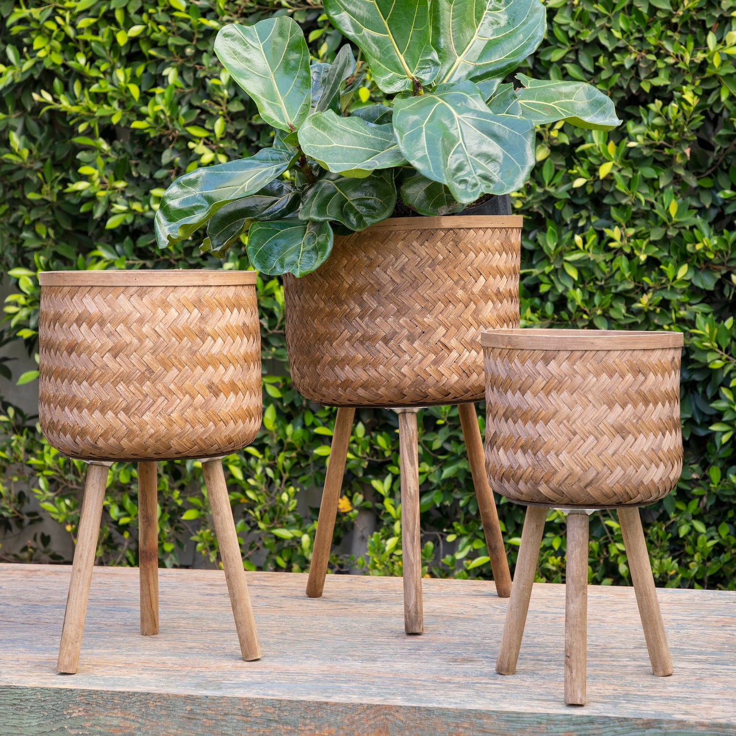 Brown Bamboo Planters w/ Plant Stand