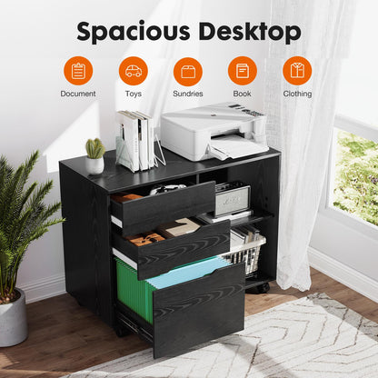 Black Office Organizer Filing Cabinet