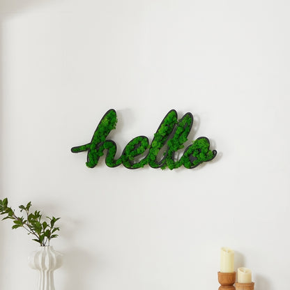 HELLO Letter Art Moss Wall Decor